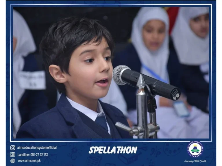 AES img 11 2 768x576