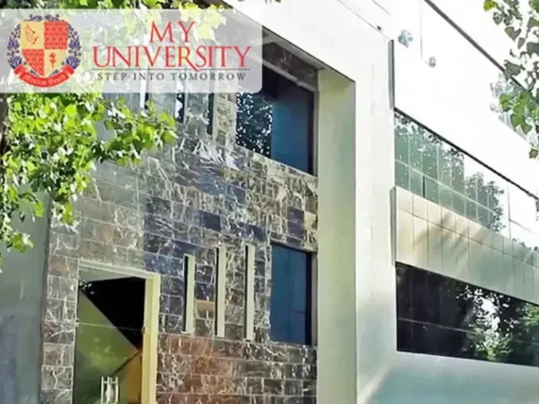 Muslim Youth University Islamabad img2 768x576