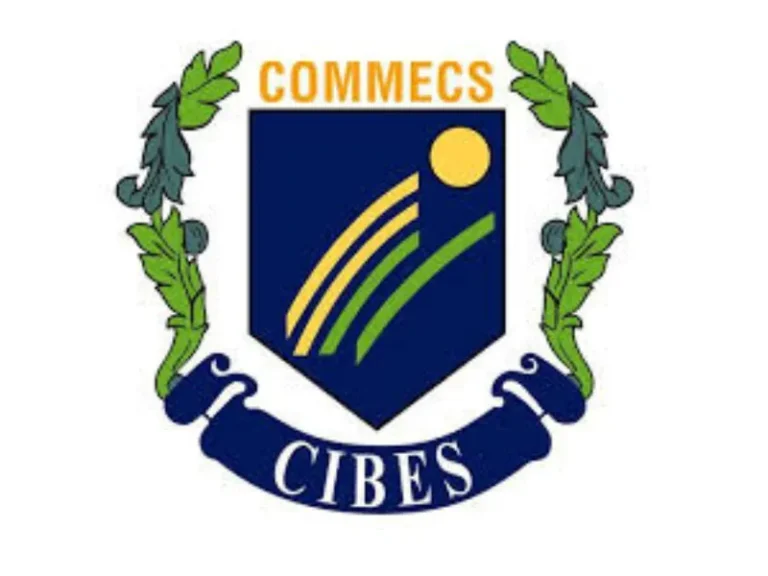 Commeces Institute Of Business Emerging Sciences Karachi img 768x576